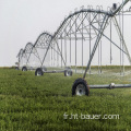 Irrigation de pivot central pour une grande irrigation de la ferme / rouleau latéral